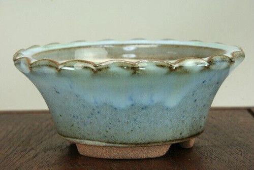 Pot bonsaï japonais - bonsaï,