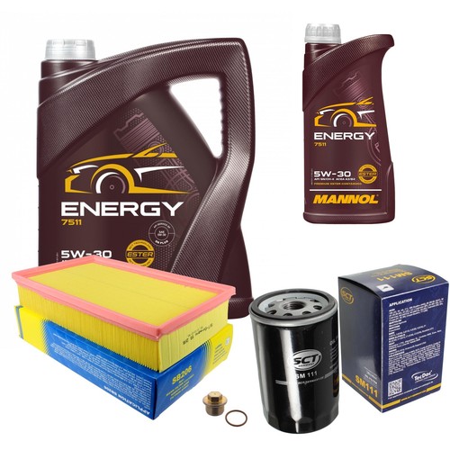 Inspection set energy - energy, 5w-30
