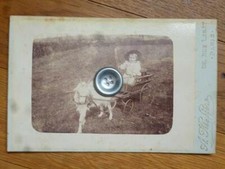 Photographie ancienne voiture d'enfant avec attelage chèvre vers 1900