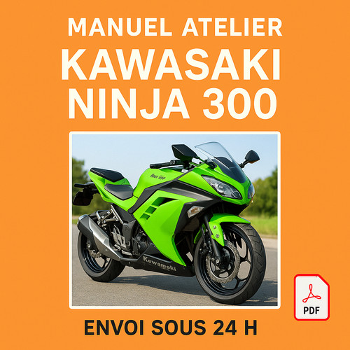 Manuel atelier kawasaki ninja - manuel,