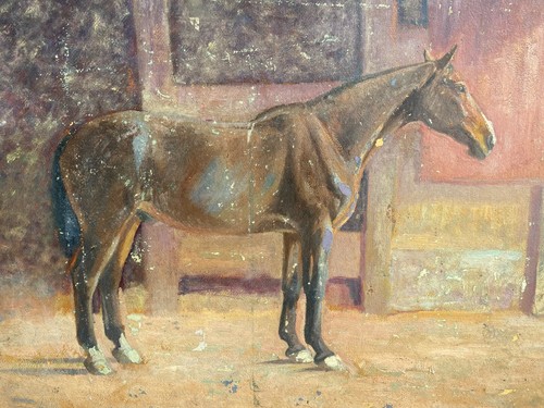 Etude portrait cheval - &, de