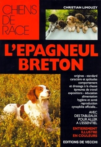 épagneul breton christian - breton,