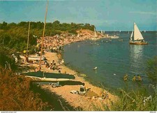 17 - Ile de Ré - Les Portes en D - Beach Trousse Shirt and its wood - Scene