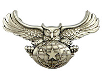 2° Hussard, Brevet Analyste Recherches Humaines, étoile blanche Matriculé 049