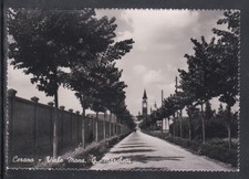 Cartolina Cerano Viale Mons. G. Marchetti ACD1343