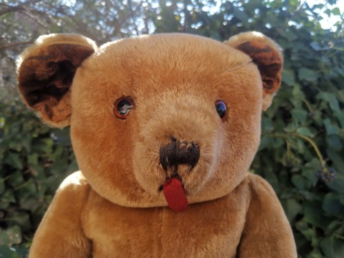 Ours ancien pintel - ours,
