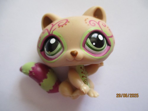 Petshop raccoon 1354 - raccoon, /