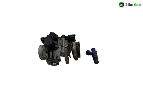 Corps papillon injection