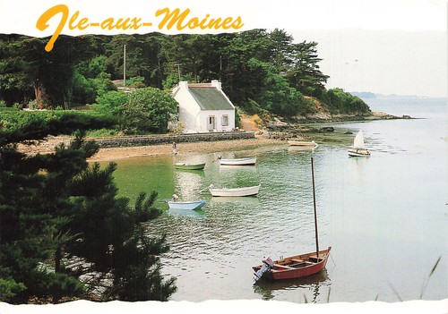 Ile aux moines - 56, petite