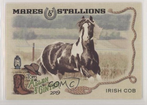 2019 topps allen ginter - topps,