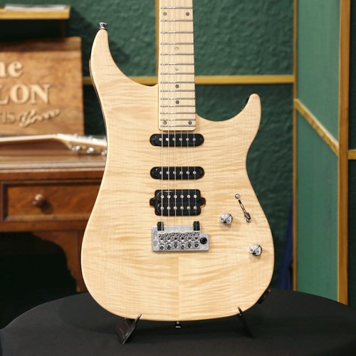 Electric guitar vigier - guitar,