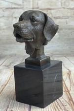 Labrador Retriever Chien