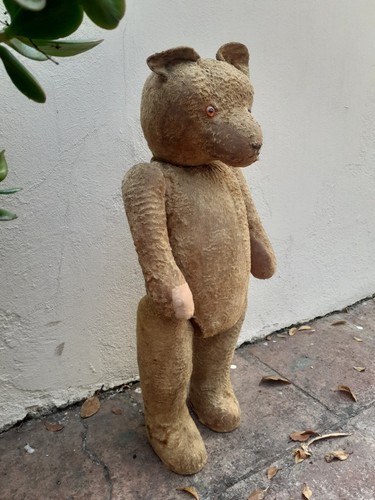 Grand ours ancien - 65, cm