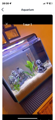 Aquarium complet très - 40, l.