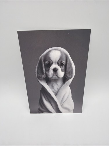 Affiche carte postale chiot - affiche,