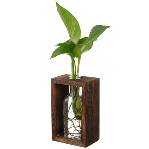 Vases pour plantes - pour, de