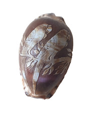 Coquillage sculpté à décor