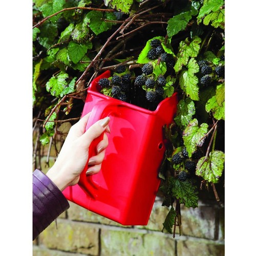 Cueilleuse baies 23x14 cm - cueilleuse,