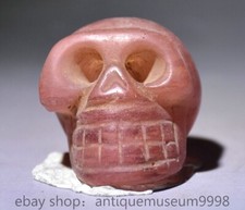 1.6 " de crâne humain de