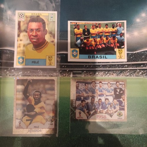 Panini world cup story sonric - cup,