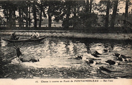 Cpa chasse à - cpa, 77