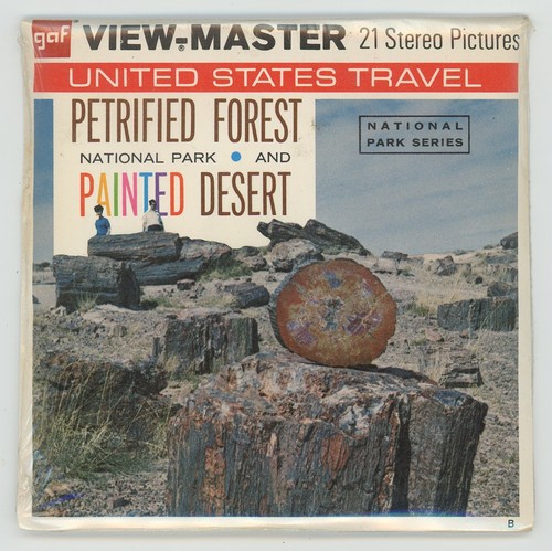 Parc national petrified forest - parc,