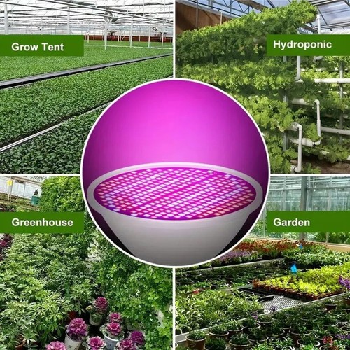 Ampoule culture 300led pour - ampoule,