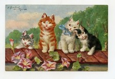 SPERCLICH . Chats, chatons