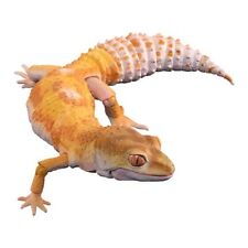 Bandai Gashapon Leopard Gecko Action Figure ADVANCE Tremper Albino 18cm 2023
