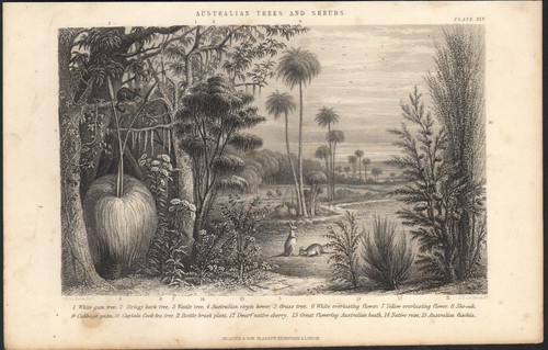 1866 gravure originale - gravure,