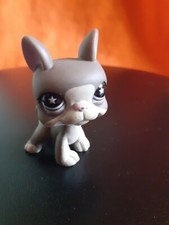 snoopette2008 - Dog Dog Boston