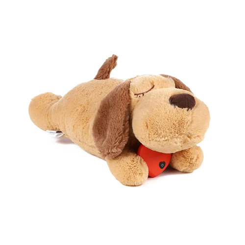 Jouet peluche pour chien - en,
