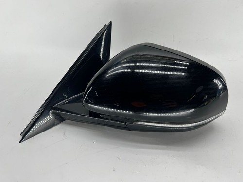Jaguar 2022 gauche - jaguar,