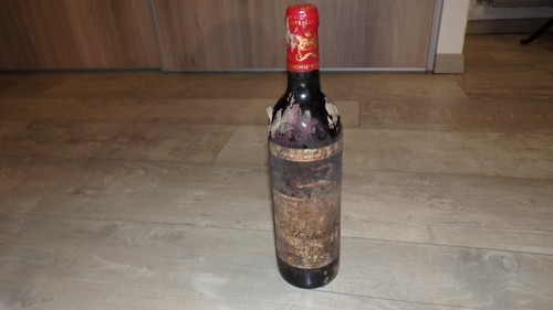 Château mouton rothschild - mouton,