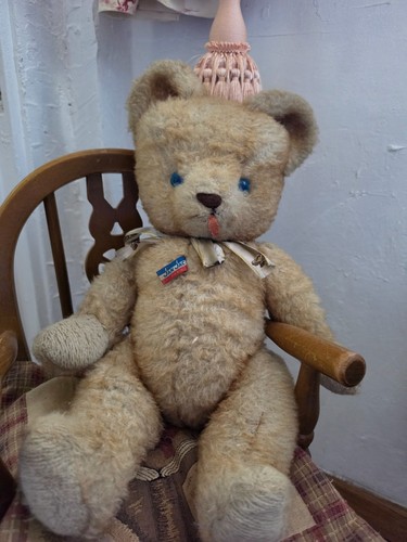 Ours ancien - ours,