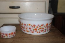 plat a gratin saladier  et ramequin    Arcopal  scania