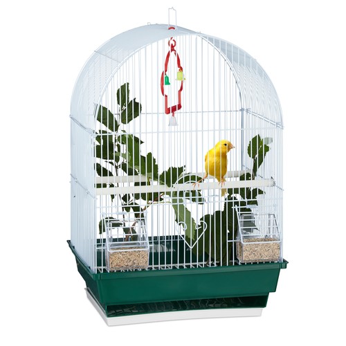 Cage oiseaux 4 - , kg