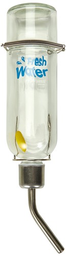 Biberon verre pour petits - en,