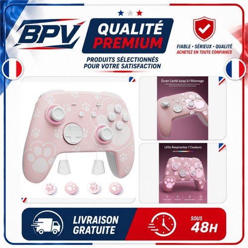 Manette switch pro palpow - 2,