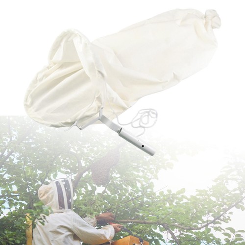 Piège essaims abeilles - à, d'abeilles