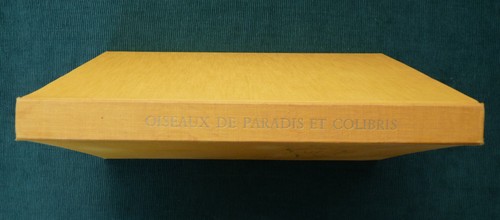 Oiseaux paradis colibris - oiseaux,