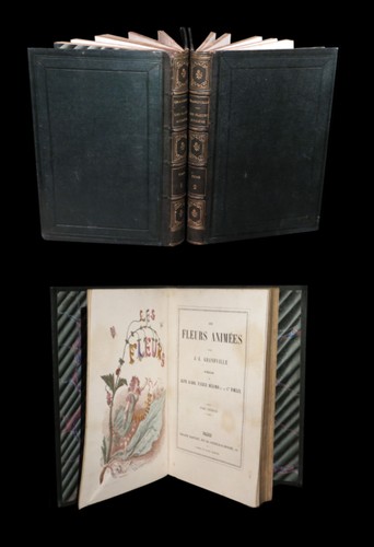 Reliures botanique - reliures,