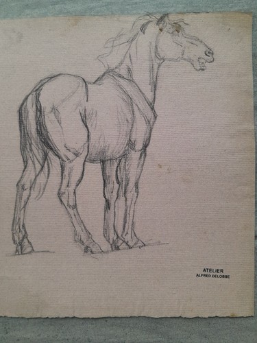 Dessin ancien portrait cheval - dessin,