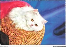 AKYP8-0737-CHAT - WHITE ANGORA