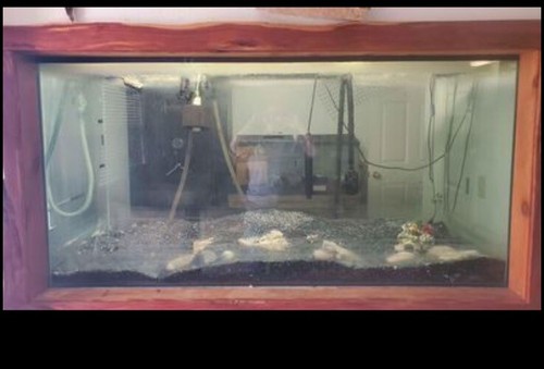 275 gallon aquarium - gallon,