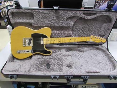 Professional - (fender,