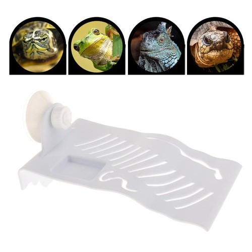 Grotte reptile caverne - ,