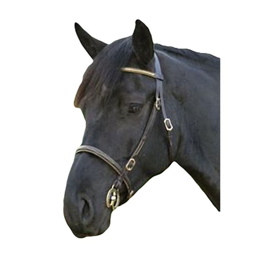 Blenheim bridon main pour - blenheim,