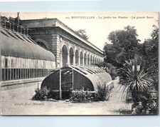 34 MONTPELLIER - the garden of