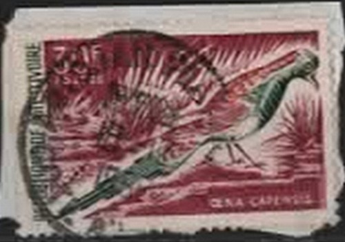 1965 côte ivoire oiseaux - côte,